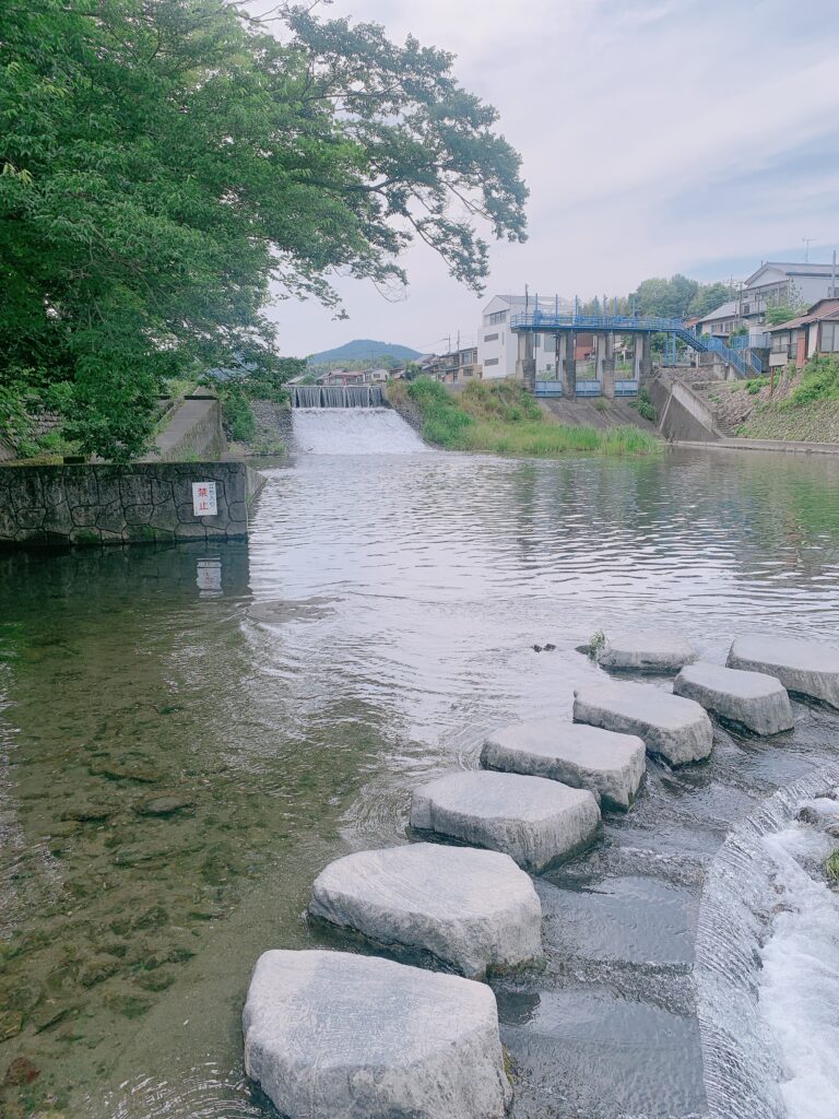 強い女 の 近くの川沿い